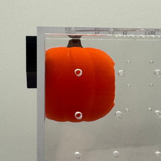 Halloween Pumpkin Jumping Spider Hide