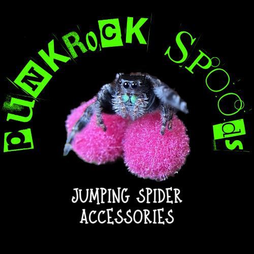 PunkRock Spoods